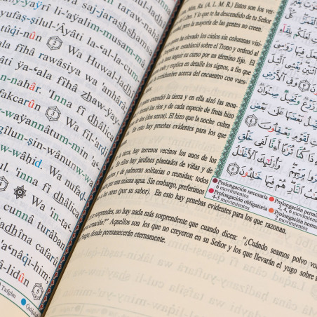 Corán Tajweed Transliterado
